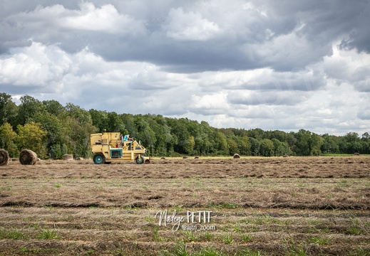 #2308071745 - crédit Nadège PETIT @agri zoom