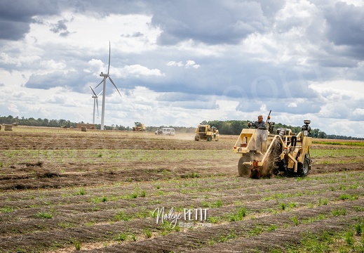 #2308071757 - crédit Nadège PETIT @agri zoom