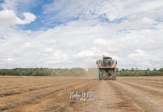 #1707221507 - crédit Nadège PETIT @agri zoom