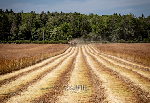 #2306231800 - crédit Nadège PETIT @agri zoom