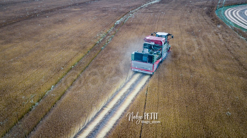 #2306280268 - crédit Nadège PETIT @agri zoom - #2306280268 - crédit Nadège PETIT @agri_zoom.jpg #2306280268 - crédit Nadège PETIT @agri_zoom.jpg