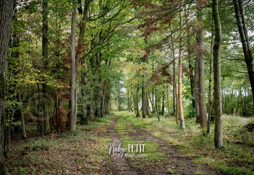 #2310264110 - crédit Nadège PETIT @agri zoom