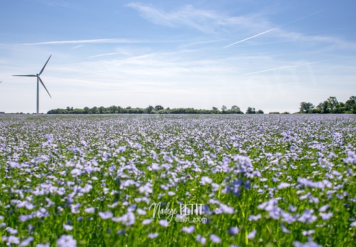 #2205175966 - crédit Nadège PETIT @agri zoom