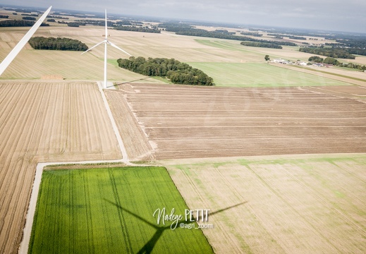 #2308110077 - crédit Nadège PETIT @agri zoom