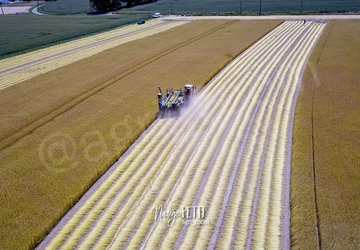 #2005310105 - crédit Nadège PETIT @agri zoom