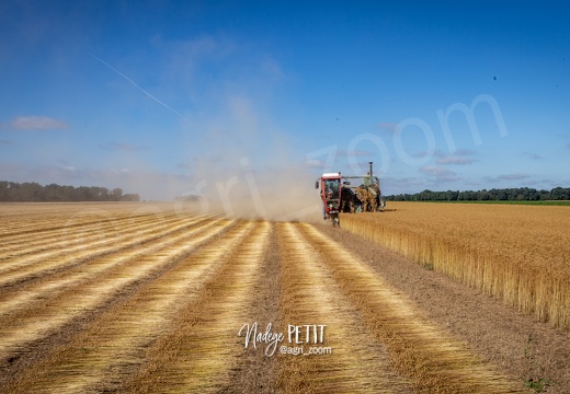 #2007097217 - crédit Nadège PETIT @agri zoom