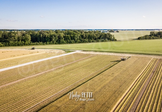 #2206100492 - crédit Nadège PETIT @agri zoom