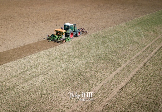 DJI 0124 - crédit Nadège PETIT @agri zoom