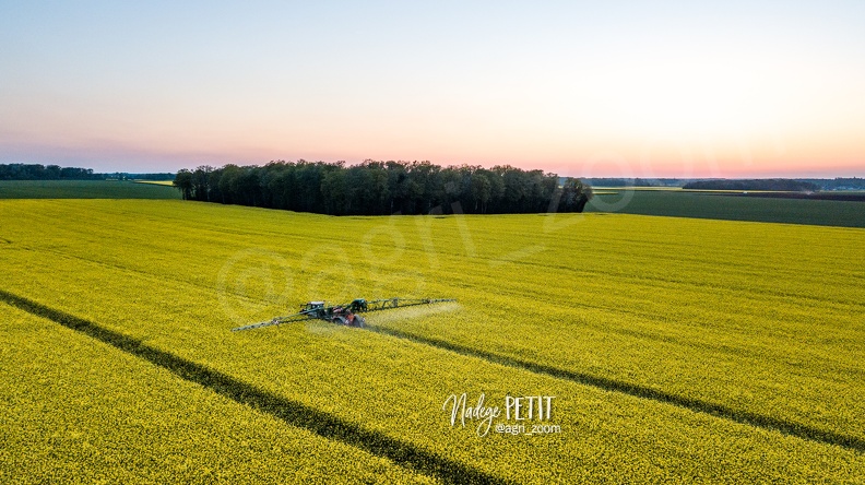 #2204250073 - crédit Nadège PETIT @agri_zoom.jpg