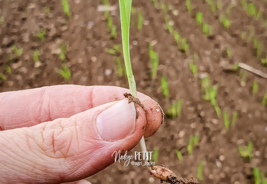 20221015 173237 - crédit Nadège PETIT @agri zoom