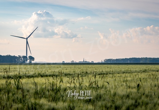 #2405126334 - crédit Nadège PETIT @agri zoom
