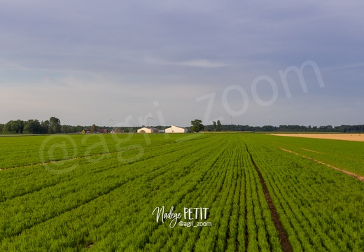 #2005075619 - crédit Nadège PETIT @agri zoom