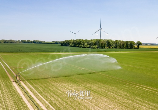 #2205090263 - crédit Nadège PETIT @agri zoom