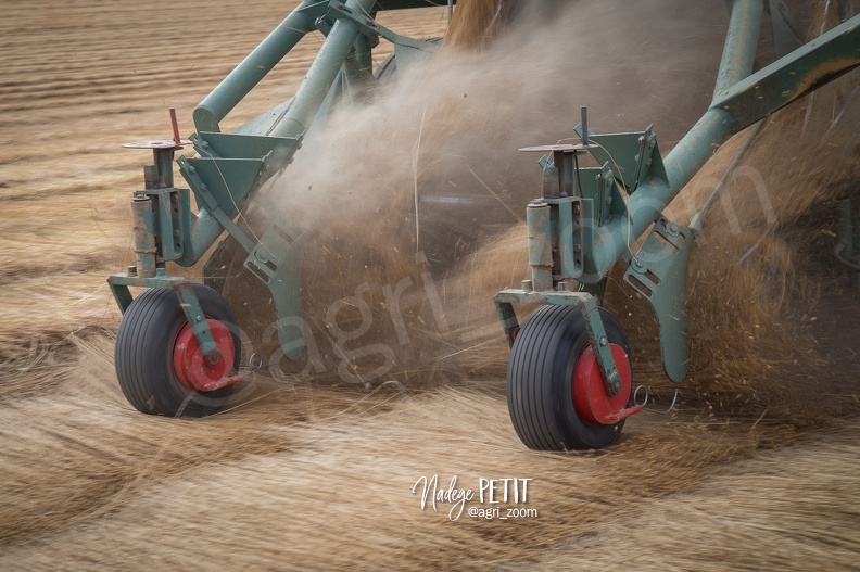 #1507131324 - crédit Nadège PETIT @agri_zoom.jpg