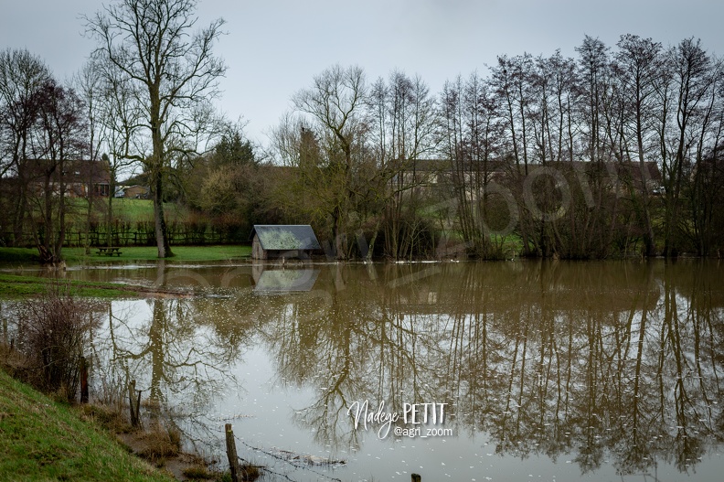 #1801065126 - crédit Nadège PETIT @agri_zoom.jpg