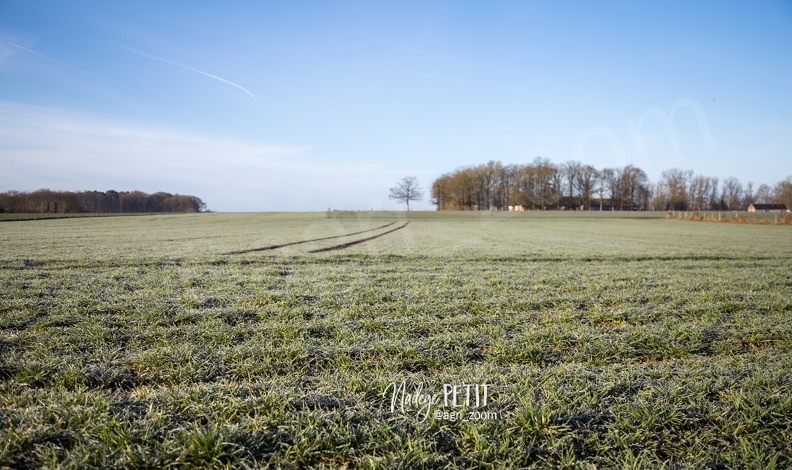 #1802165503 - crédit Nadège PETIT @agri_zoom.jpg