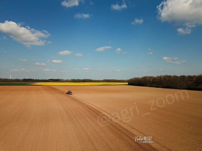 #2104190197 - crédit Nadège PETIT @agri_zoom.jpg