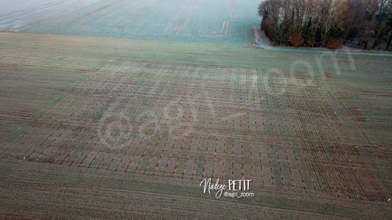 #2201140019 - crédit Nadège PETIT @agri_zoom.jpg