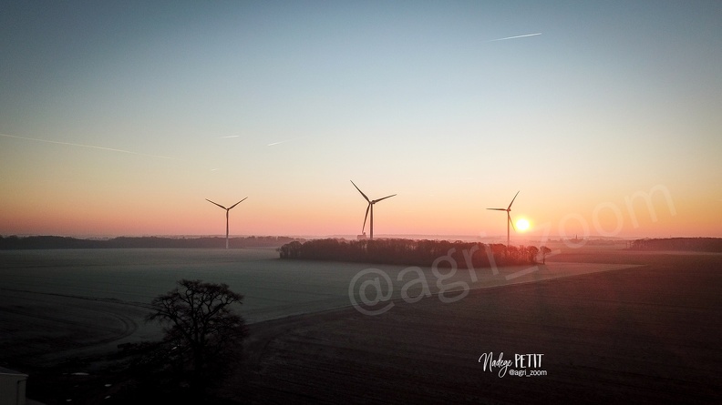 #2201140035 - crédit Nadège PETIT @agri_zoom.jpg
