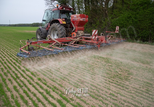 #1904239121 - crédit Nadège PETIT @agri zoom