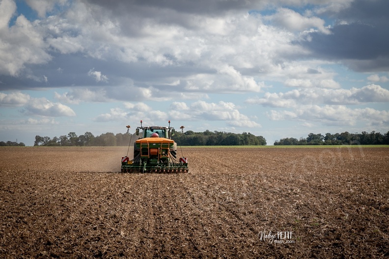 #2109292571 - crédit Nadège PETIT @agri_zoom.jpg