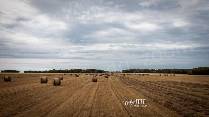 #1909099677 - crédit Nadège PETIT @agri_zoom.jpg