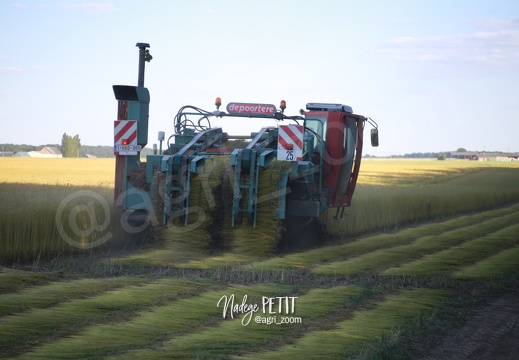 #2005316277 - crédit Nadège PETIT @agri zoom