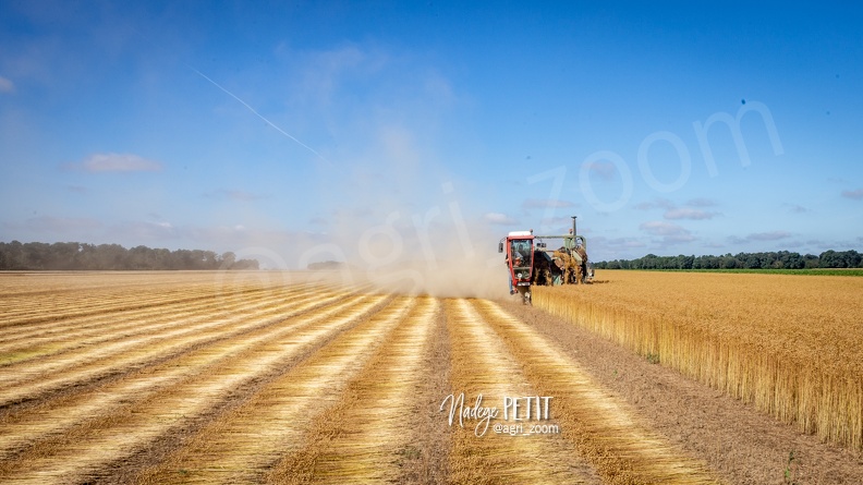 #2007097217 - crédit Nadège PETIT @agri_zoom.jpg
