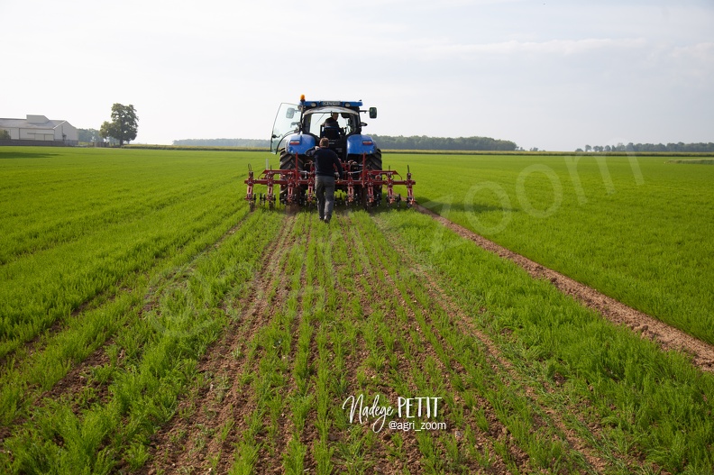 #1905179841 - crédit Nadège PETIT @agri_zoom.jpg