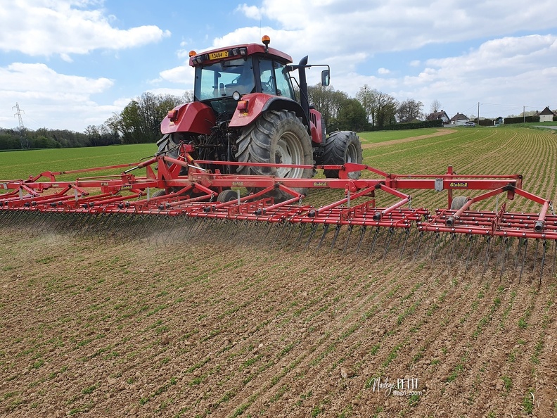 #210503135433 - crédit Nadège PETIT @agri_zoom.jpg