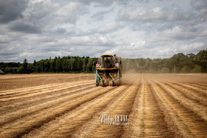 #2307112292 - crédit Nadège PETIT @agri_zoom.jpg