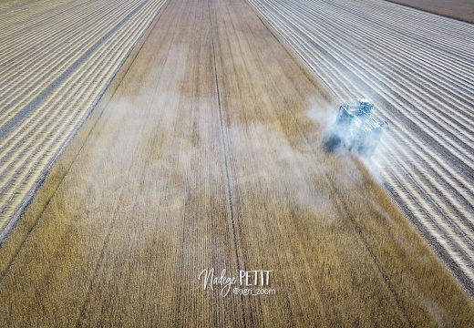 #2007090187 - crédit Nadège PETIT @agri zoom