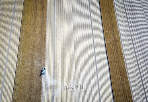 #2007090219 - crédit Nadège PETIT @agri zoom