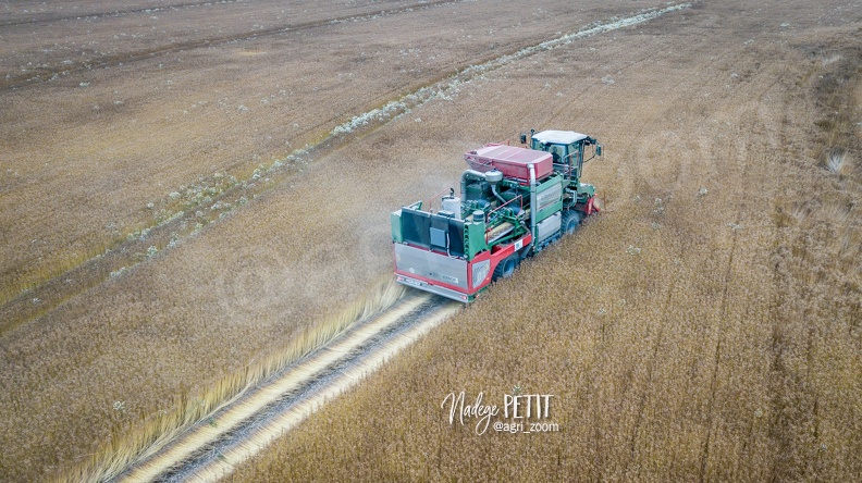 #2306280270 - crédit Nadège PETIT @agri_zoom.jpg